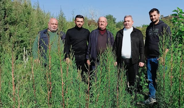 Başkan Yeşildaş; " Yarınlara İnanıyor, Binlerce Fidanı Toprakla Buluşturuyoruz"