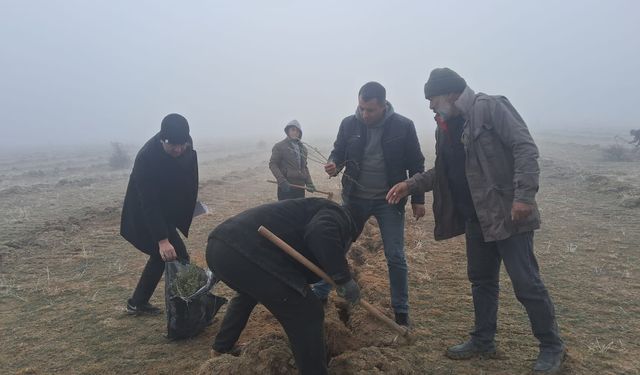 Göztepe Köyü'nde Mera Islah Projesi Uygulandı