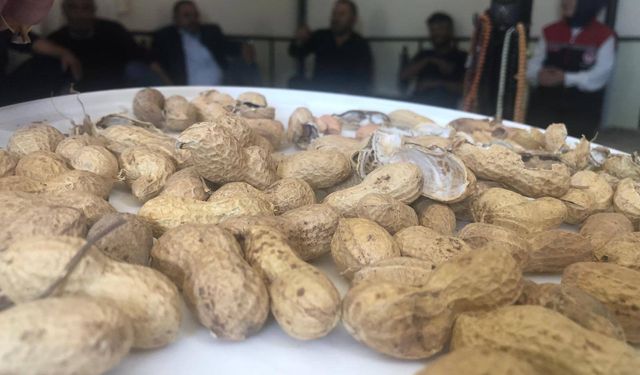 Göksu’da Fıstığın Lezzeti Projesi