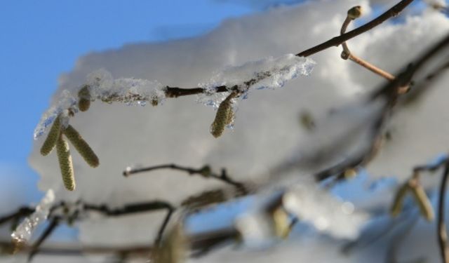 Hava Sıcaklıkları Hissedilir Derecede Azalacak!