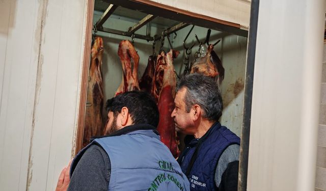 Ermenek İlçesinde Gıda Denetimleri