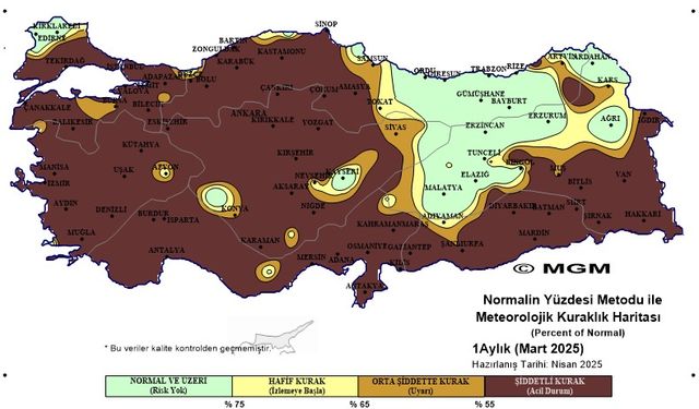 Karaman'ın Durumu Endişe Verici: Kahverengiye Büründü