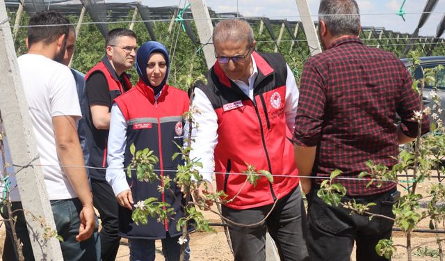 Zirai Don Zararına Yönelik Değerlendirme Toplantısı ve Saha Ziyaretleri Gerçekleştirildi