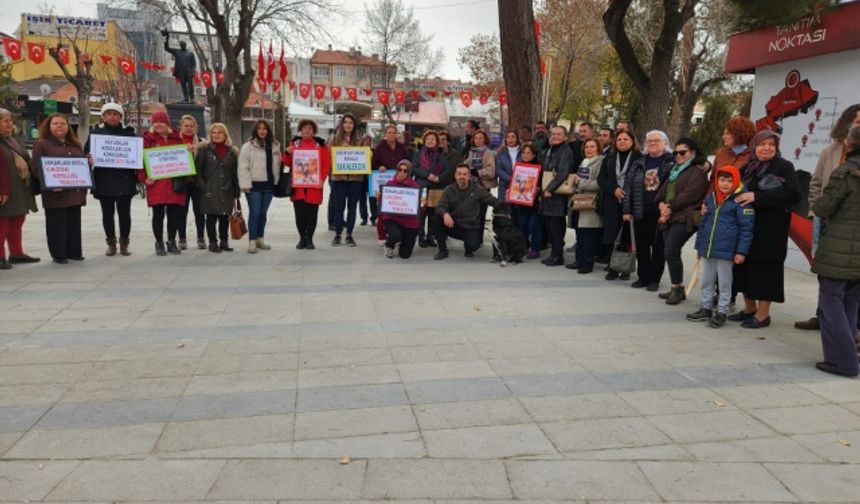 "Sokak Hayvanları Sahipsiz Değil"