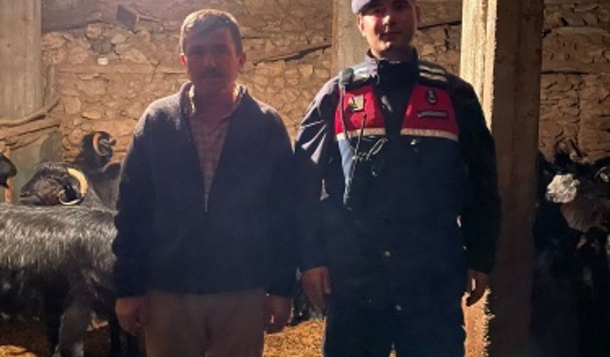 Karaman'da Kaybolan Hayvanları Jandarma Buldu