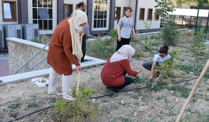 “Telafide Ben de Varım” Diyerek Fidanların Bakımını Yaptılar