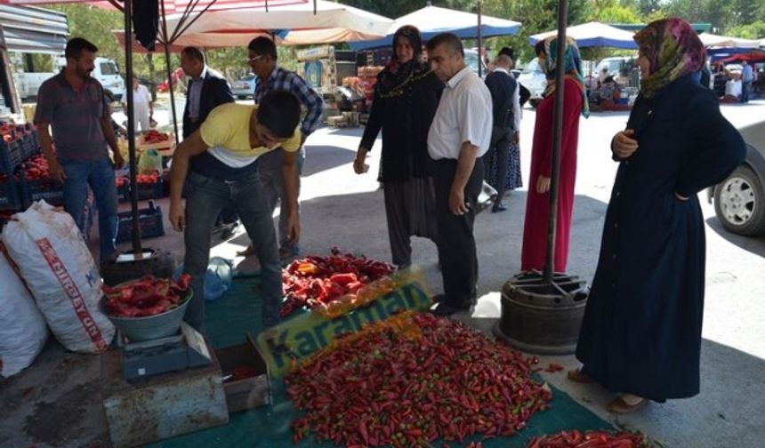 Karaman’da Ev Yapımı Salça Sezonu Başladı