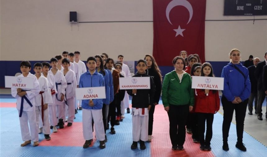 ANALİG Karate Grup Müsabakaları Karaman'da Yapıldı