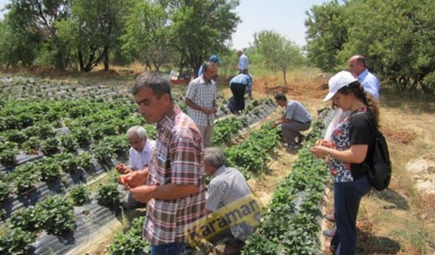 Karaman’da “Hep Aynı Değil Farklı Ürün” Projesi