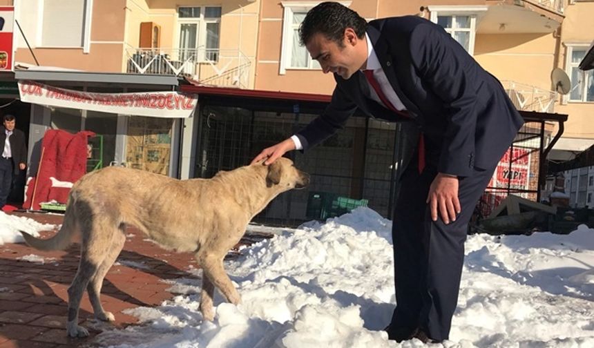 “Patiler Köyü” Projemizi Hayata Geçireceğiz