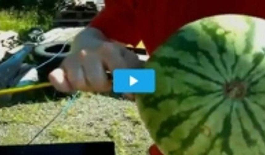 Karpuza Elektrik Verilirse Ne Olur?