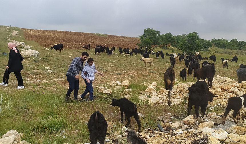 KMÜ’de Özel Gereksinimli Çocuklara Yönelik Tarım ve Doğa Uygulamaları Projesi