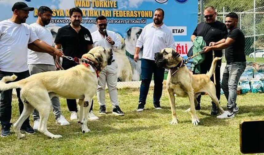 Karaman’ı En İyi Şekilde Temsil Ettiler