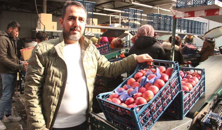 Kızıldeniz’deki Saldırılar Karaman’ın İhracatını Yüzde 60 Düşürdü