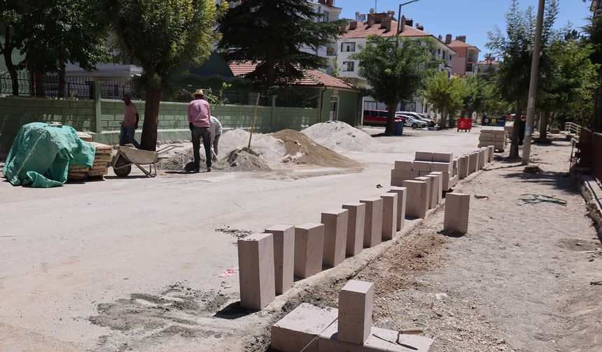 Asfalt, Yürüyüş Yolu ve Park Çalışmaları Devam Ediyor