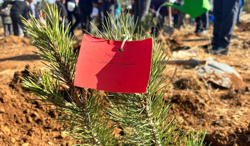 Gönüllü Gençler Diktikleri Fidanlara Şehitlerinin İsmini Verdi