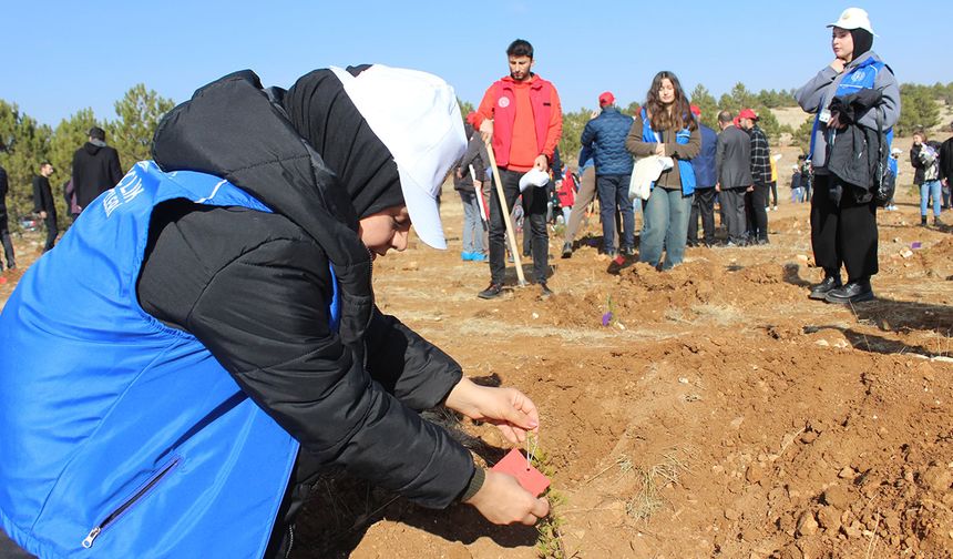 Gönüllü Gençler Diktikleri Fidanlara Şehitlerinin İsmini Verdi