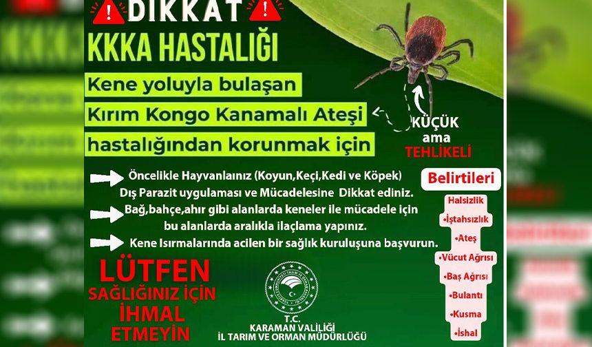 KARAMAN'DA KENE TEHDİDİ!