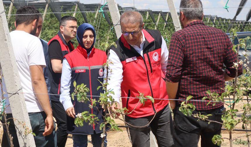Zirai Don Zararına Yönelik Değerlendirme Toplantısı ve Saha Ziyaretleri Gerçekleştirildi