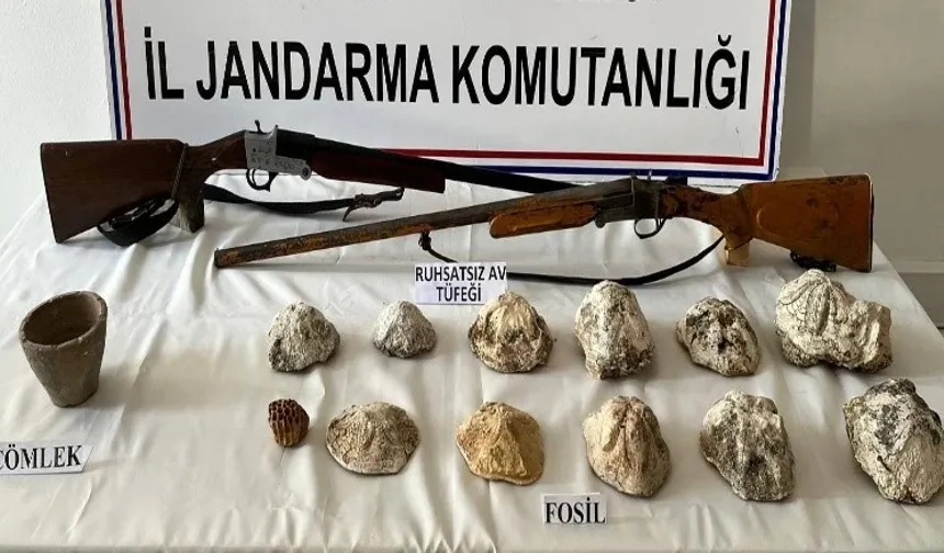 JANDARMA, FOSİL VE SİLAH ELE GEÇİRDİ