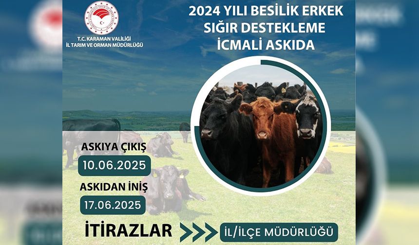 KARAMAN'DA 2024 YILI BESİLİK ERKEK SIĞIR DESTEKLEMESİ İCMALİ ASKIYA ÇIKTI