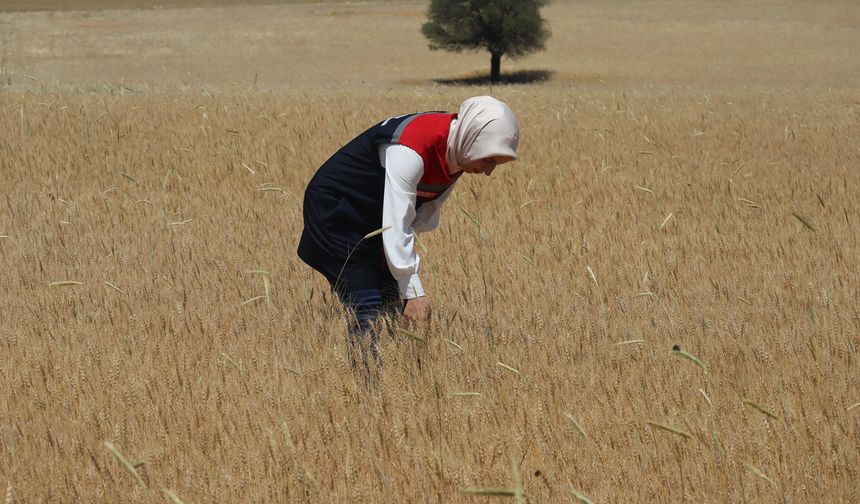 İL MÜDÜRÜ HATİCE BULUT'TAN MORCALI VE BURUNOBA KÖYÜ ZİYARETLERİ