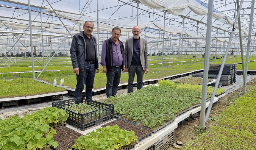 KARAMAN’DA BİR ÇİFTÇİ KURDUĞU SERADA 5 MİLYON FİDE ÜRETİYOR