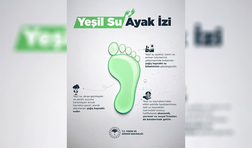 YEŞİL SU AYAK İZİ